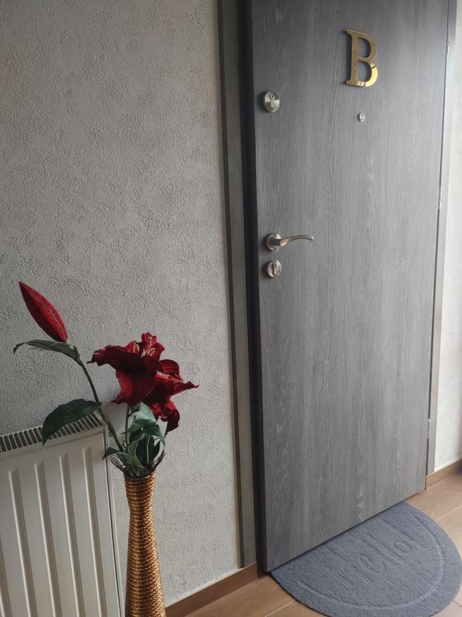 Apartamenty U Zofii Iława Extérieur photo