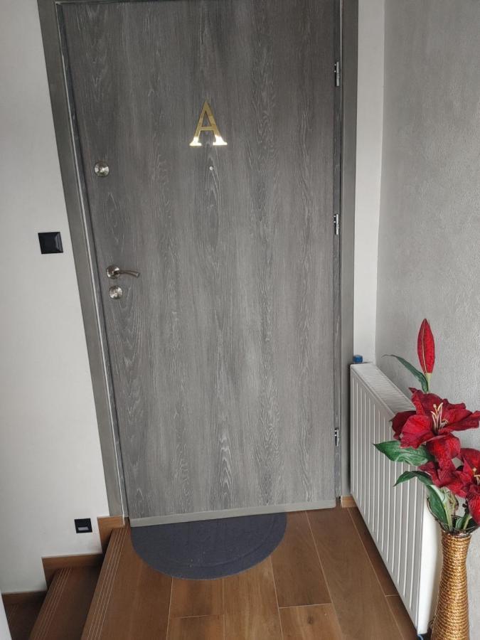 Apartamenty U Zofii Iława Extérieur photo